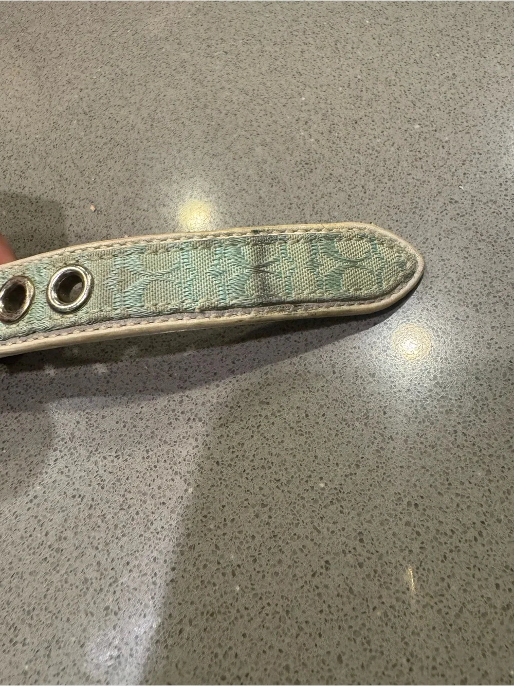 Coach Signature Light Blue Dog Collar size small